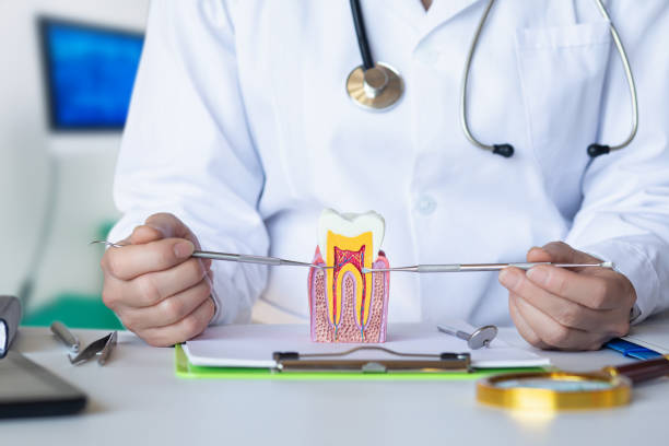 Best 24-Hour Emergency Dentist in Inkerman, PA